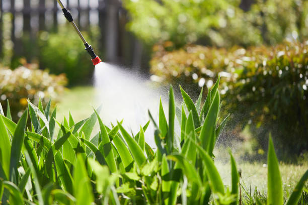 Tamper-Resistant Bait Stations for Rodents in Haysville