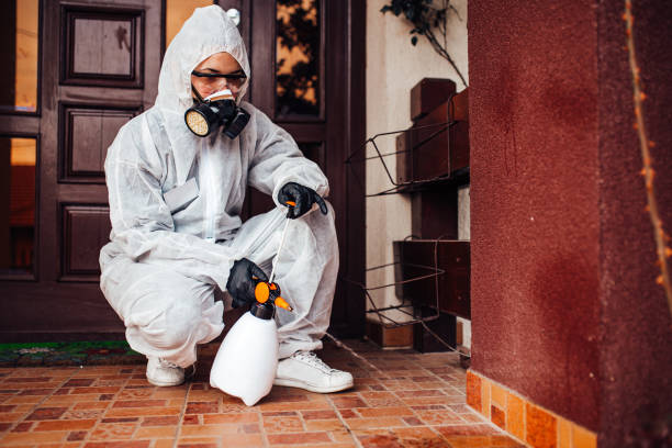 Attic and Crawl Space Rodent Treatment in Haysville