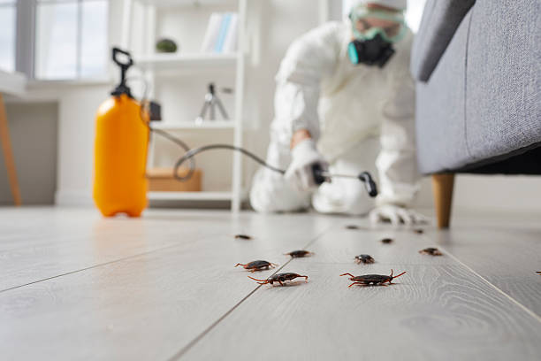 Commercial Rodent Management in Haysville